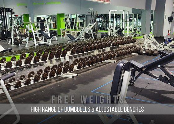 Lifting floor free weight dumbbell options