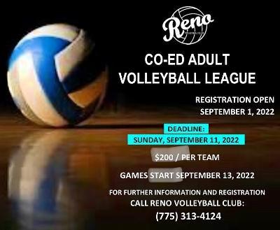 Year-Round Volleyball League