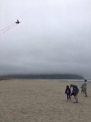 Seaside. Kite flying on the beach