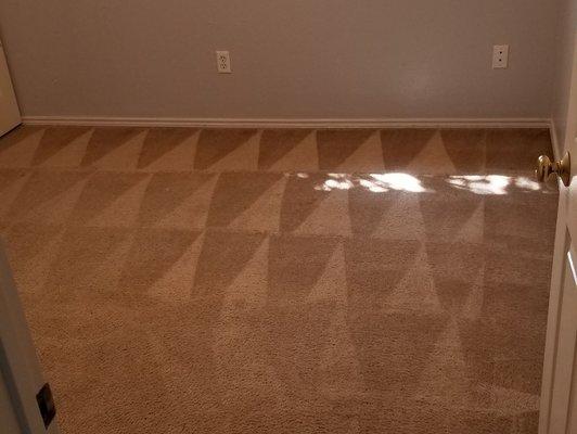 Residential carpet clean