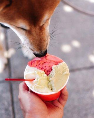 raspberry, pistachio, and pineapple gelato