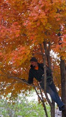 Working on trimming my trees