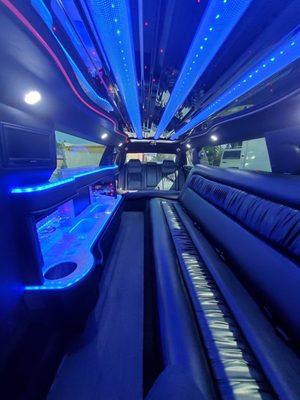 20-Passenger Limo Party Bus