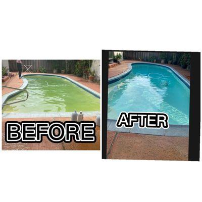 pool clarifier service