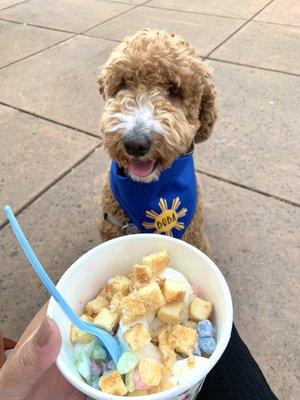 @theb0badiaries    Original Tart Yogurt with mochi and cheesecake bites