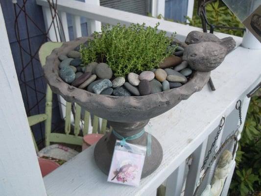 Outdoor entrance to Vintage Violets