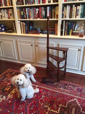 My unique spiral step stool purchased at Design With Consignment (for $400 less than buying on EBay)! The dogs are not from the store...