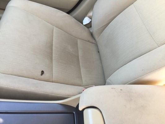 Interior passenger seat of the car they tried to rent me...zoom in on the armrest - it's a pubic hair...seriously