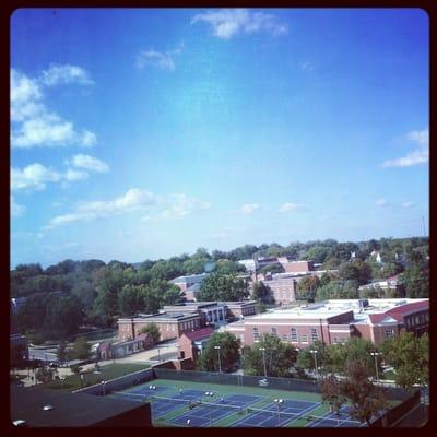 Campus from the top of Frazer dorm