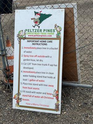 Follow these instructions when you take your tree home!