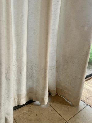 Moldy curtains