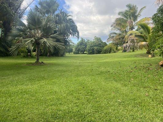 26 acres of land filled with plants, herbs & fruits