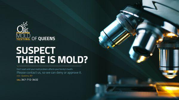 O2 Mold Testing