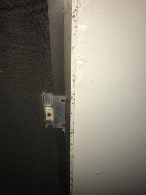 Mold is growing around almost every doorway/window. We clean it often and it grows back instantly.