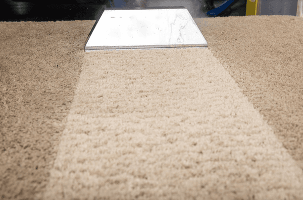 Carpet cleaning, maple valley carpet cleaning, steam cleaning, urine damage