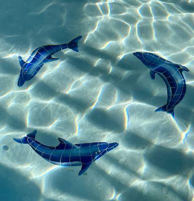 Crystal clear water and dolphin art in the Learn to Swim pool