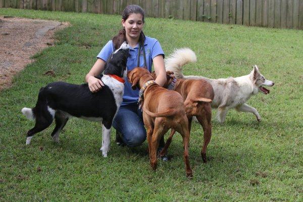 A Stay in the Country Pet Lodge and Training Center