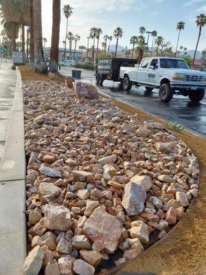 Palm Springs Gold Crushed Rocks