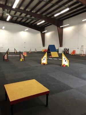 Our training hall is 75x45', climate controlled, and features GreatMats cushioned flooring to protect dogs' joints.