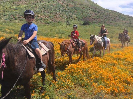 Bring the kids age 4 and up on the Hour trail ride.