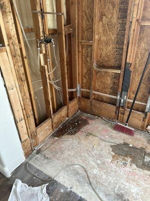 Subfloor rotted and wet