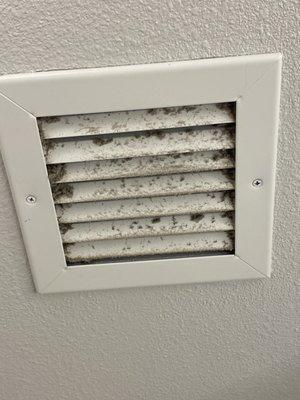 Bathroom vents