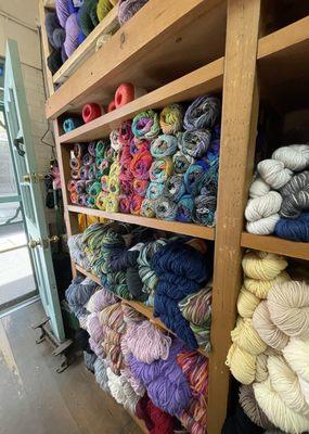 So much yarn to choose from