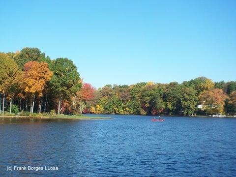 Lake Barcroft Waterfront Specialist.