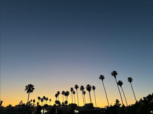 gorgeous view from the rooftop deck