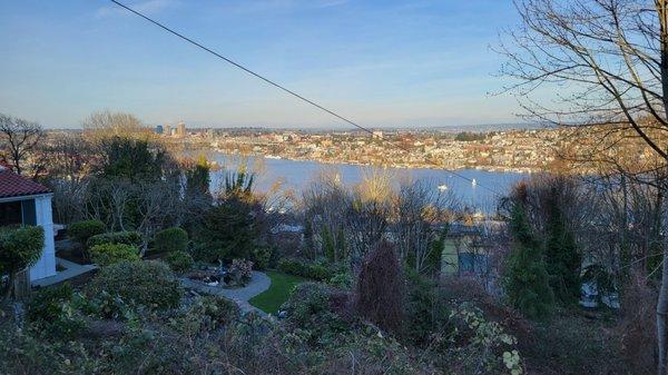 This is the no-zoom view from the park -fancy houses and Lake Union.