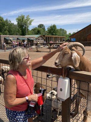 My mother in law and her new buddy