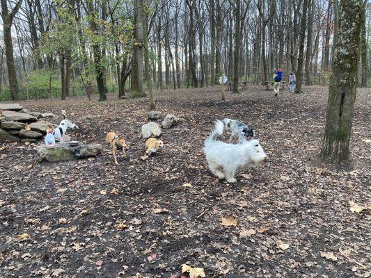 Cabin John Dog Park