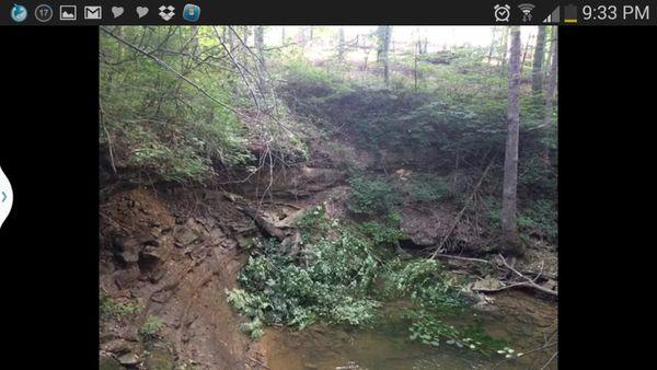 Clearing a waterfall for a customer in Louisville Kentucky.