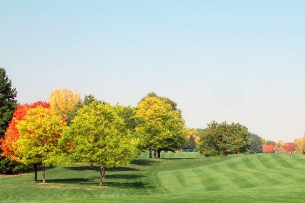 Groesbeck Golf Course