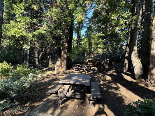 Picnic tables close to shoreline past the parking lot.