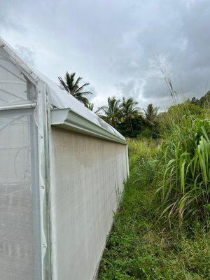 25" Greenhouse with gutters on both sides