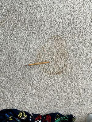 Carpet stains after cleaning