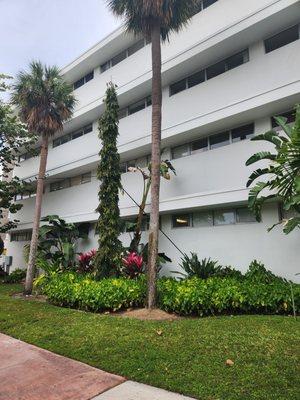 Exterior of the building where Dr. Sanjur is located.