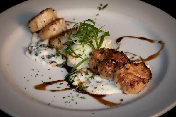 Seared Scallops