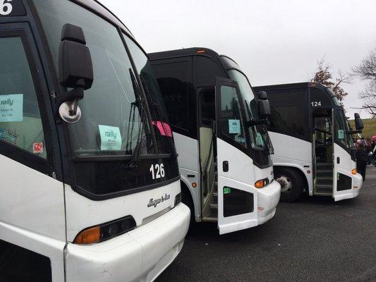 Rally buses lined up at the Women's March on Washington 1/21/17