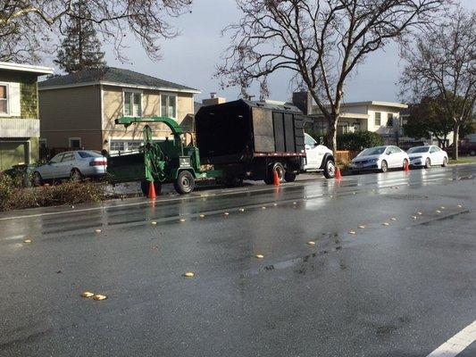 Rain or shine EC Builders/Tree Service will be there to help you with your tree maintenance.