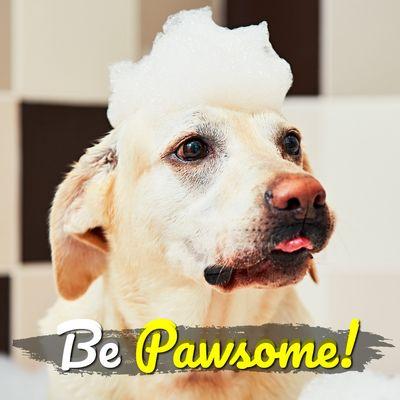 Le Pet Salon - Miami's best grooming salon