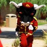 Andale, a bull dressed like a Matador, is our mascot