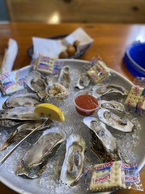 Dozen local oysters  salty & delicious  $14