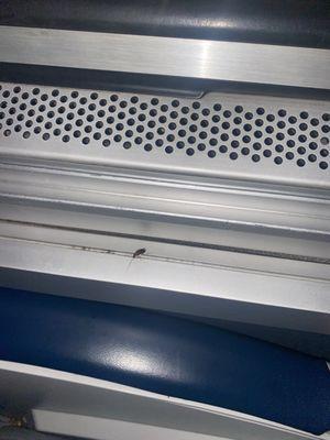 Roaches, dirty unsanitary train