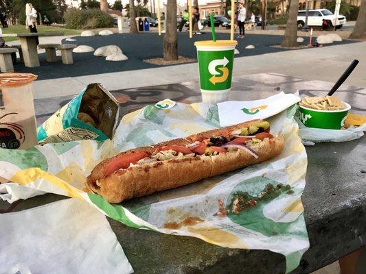 Got a foot long meatball sub with the the fixings and made it a picnic dinner!