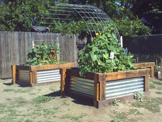 The preschool garden also grows vegetables and edible flowers. The children learn about nutrition, growing and harvesting food.