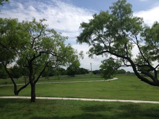 Walking path viewed from the playground