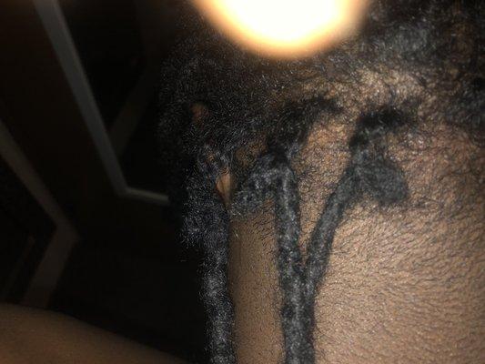 You can see where the locs are hanging away from the rest of the strand.