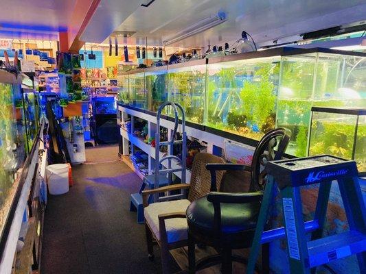 Aquarium World -- beautifully clean tanks and happy fish